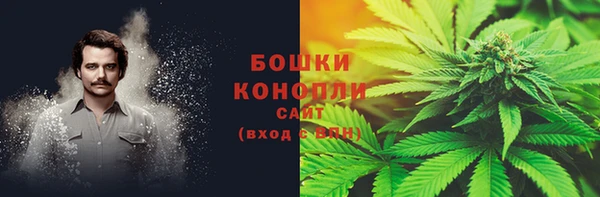 ПСИЛОЦИБИНОВЫЕ ГРИБЫ Тайга