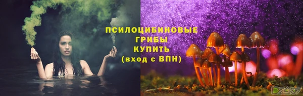 стафф Балахна