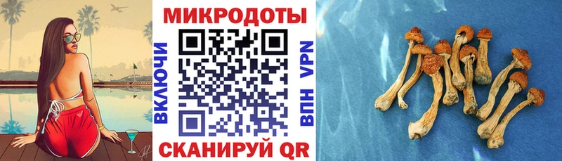 блэк спрут как войти  Дигора  Галлюциногенные грибы ЛСД 